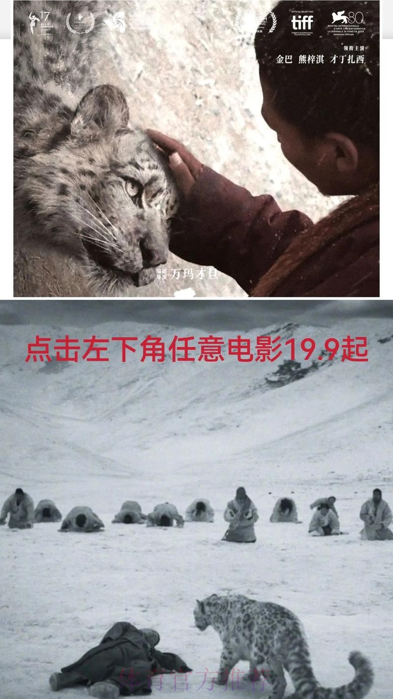 2020中甲专刊: 第二十五期《天山雪豹努力活下去》 2020中甲专刊: 第二十五期《天山雪豹努力活下去》